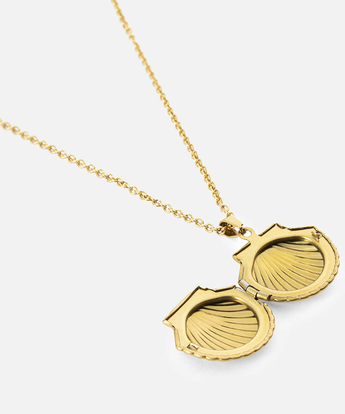 Stainless Steel Seashell Necklace
