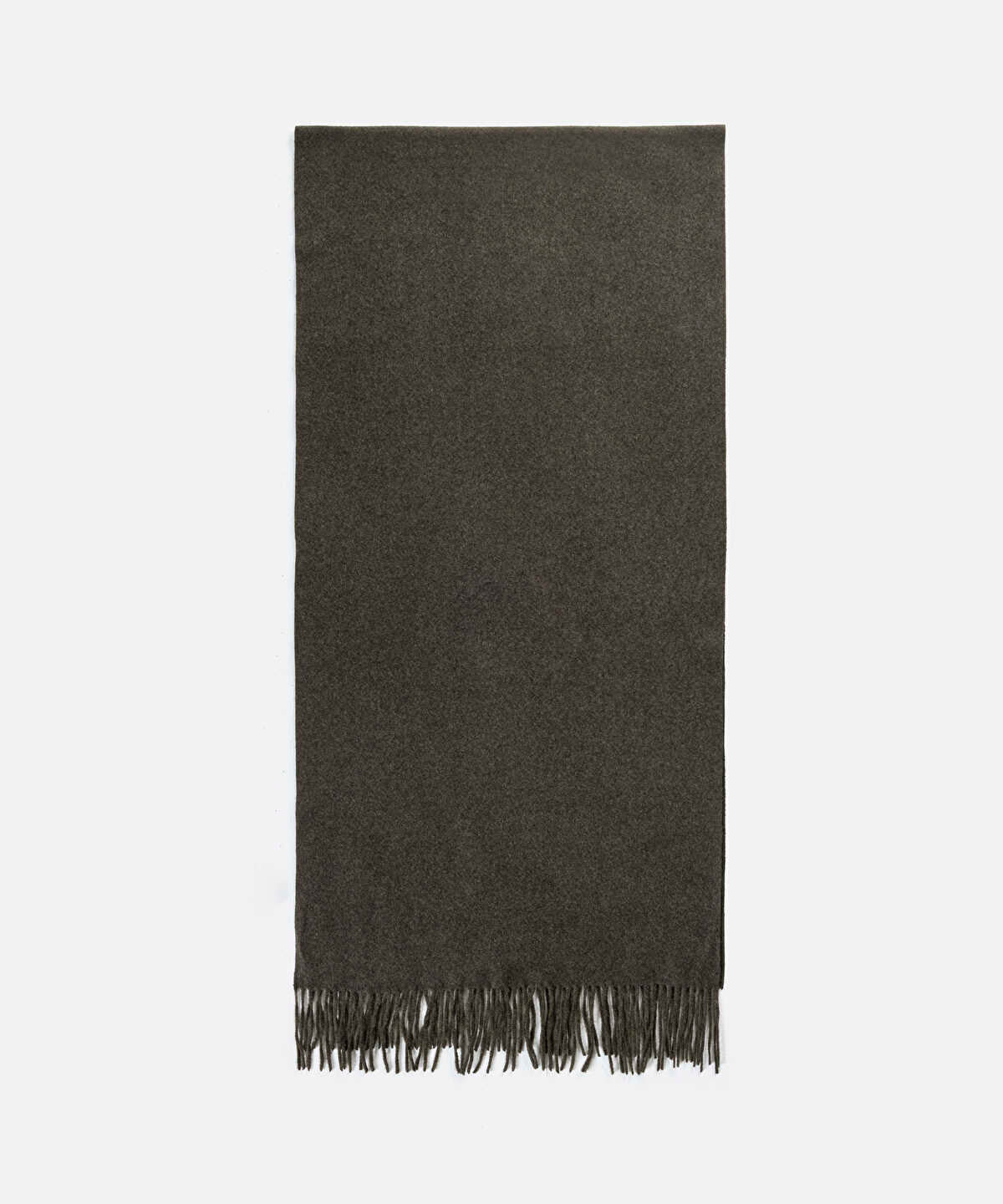 Basic Fringed Scarf