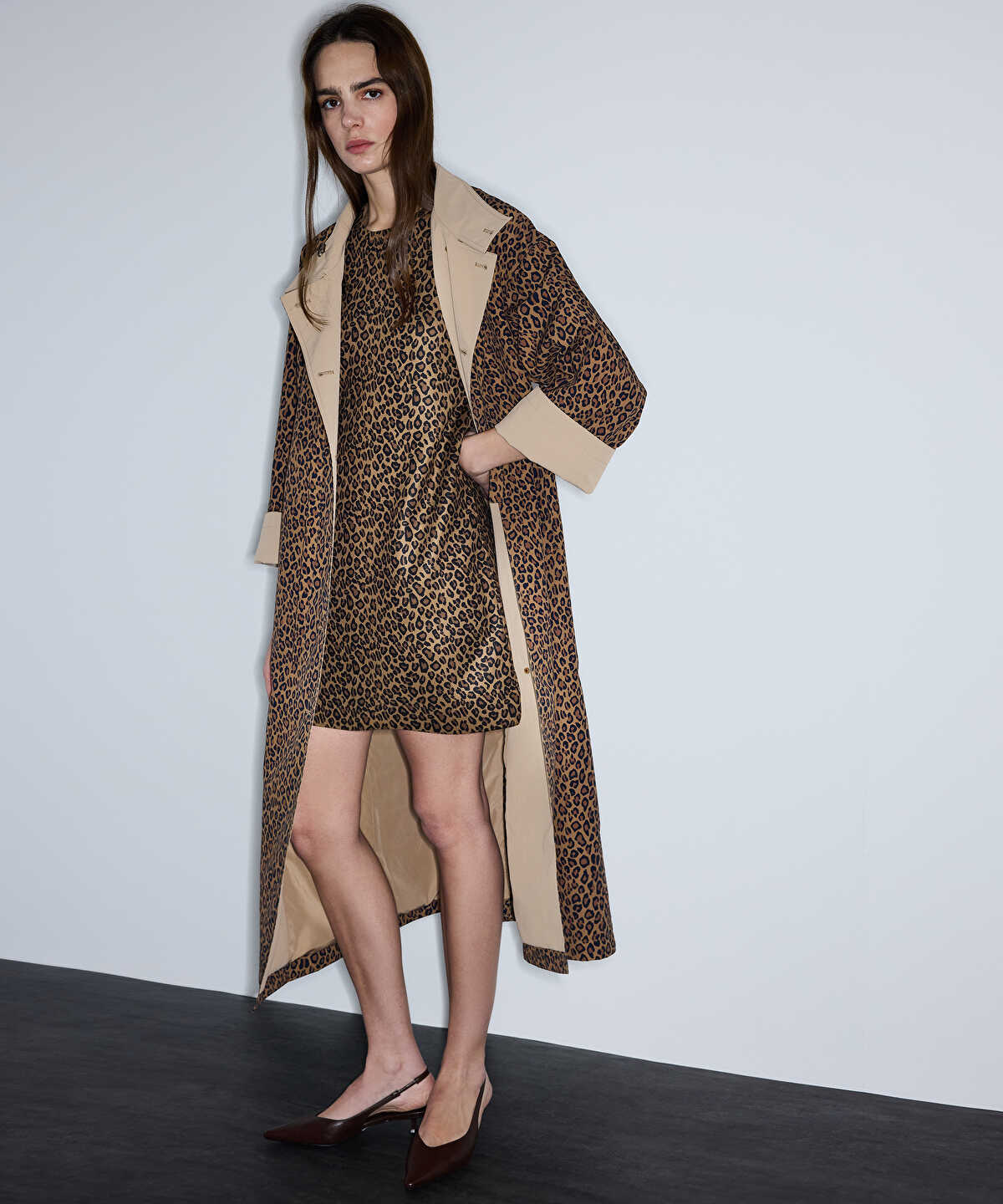 Zoomed Leopard Print Knit Dress