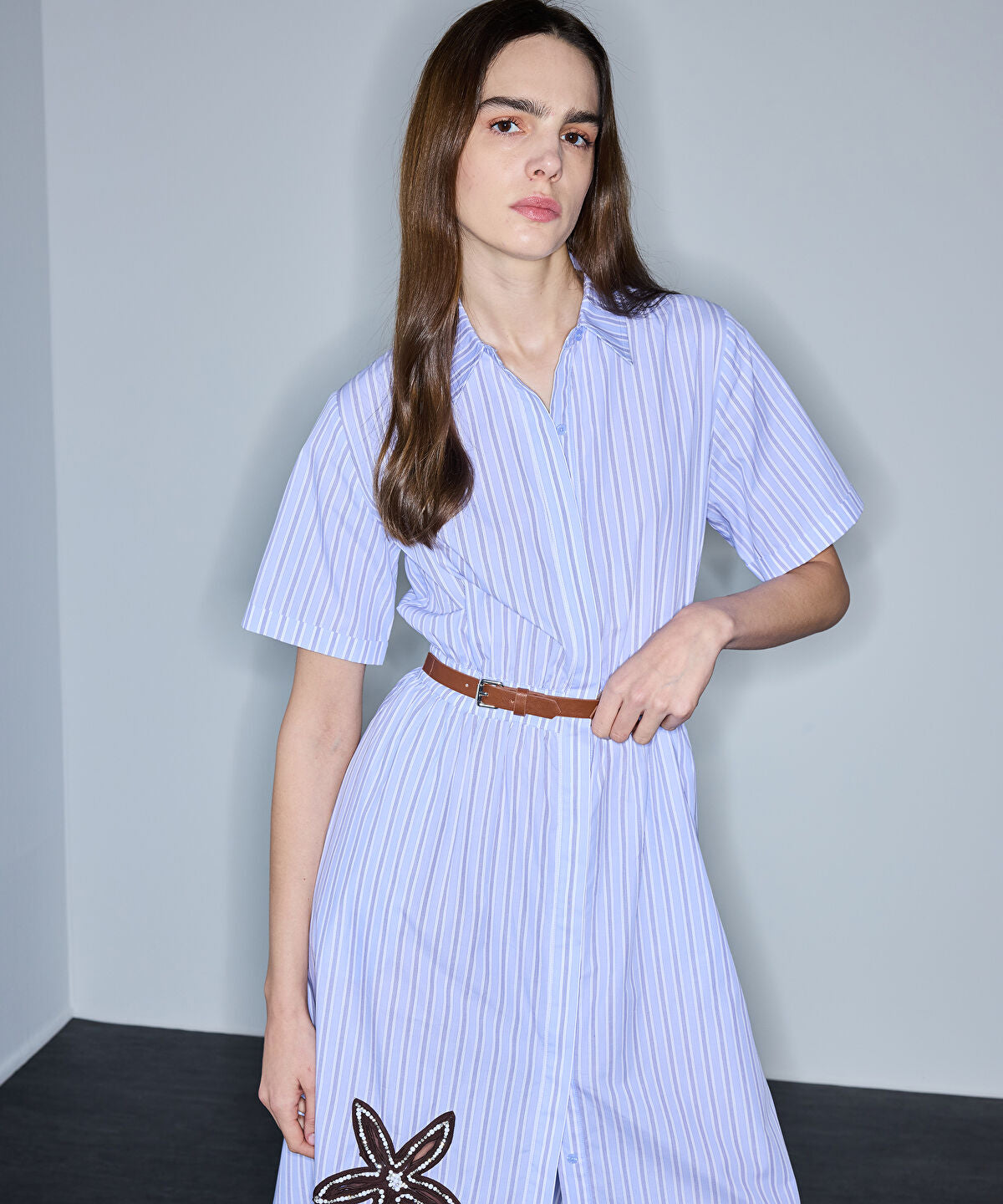 Zoomed Contrast-Belted Embroidered Dress