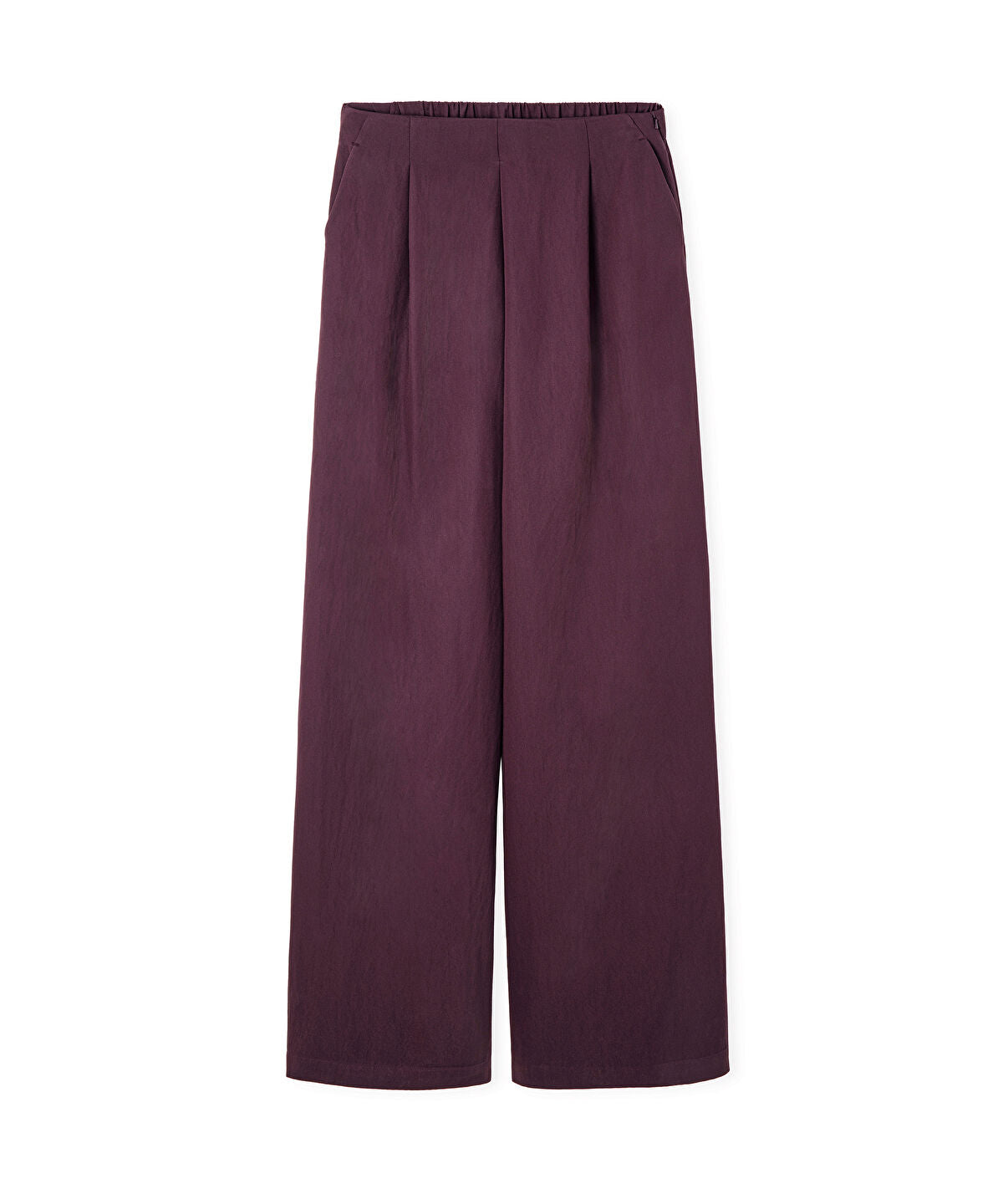 Zoomed Pleated Wide-Leg Trousers