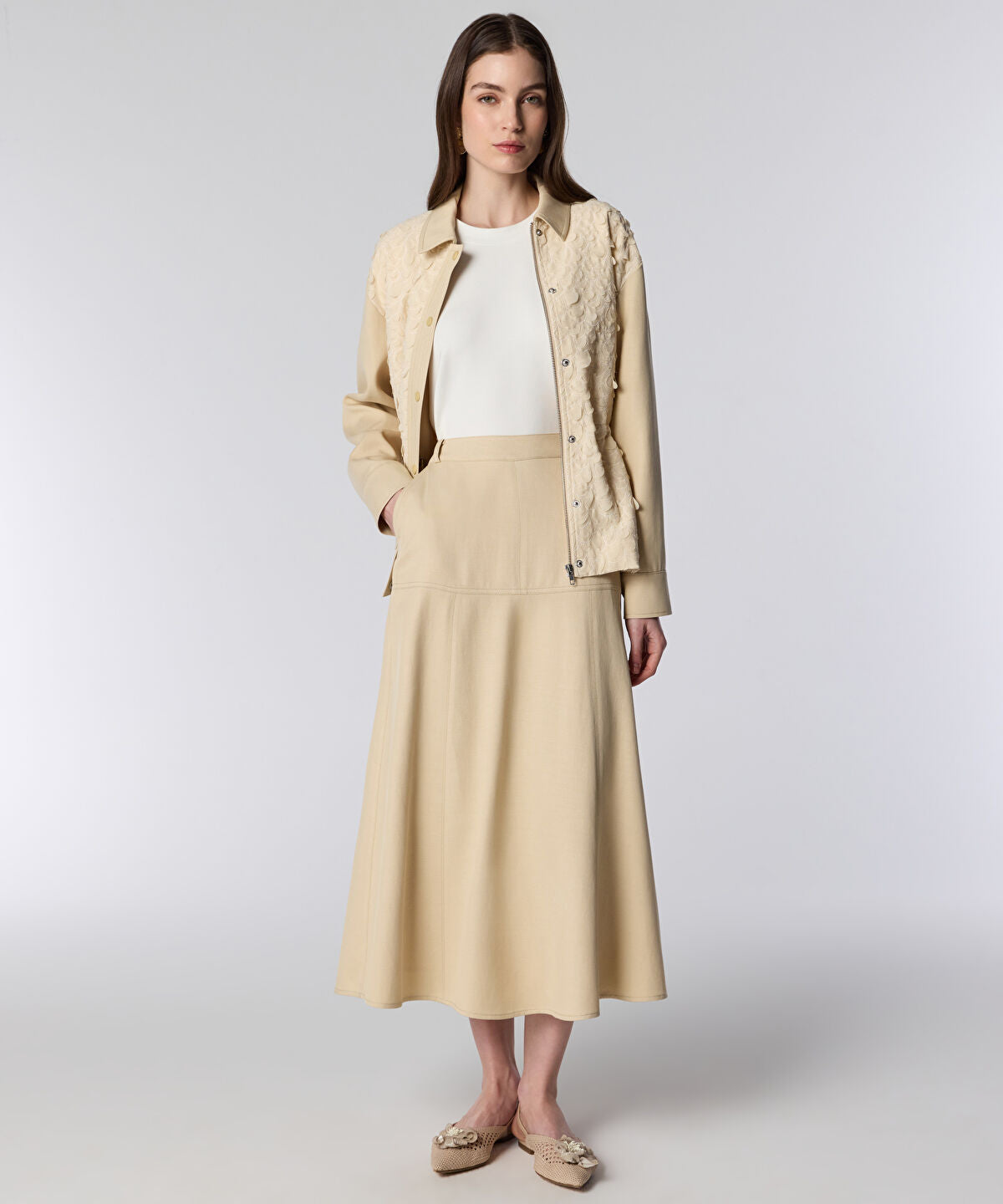 Zoomed SKIRT