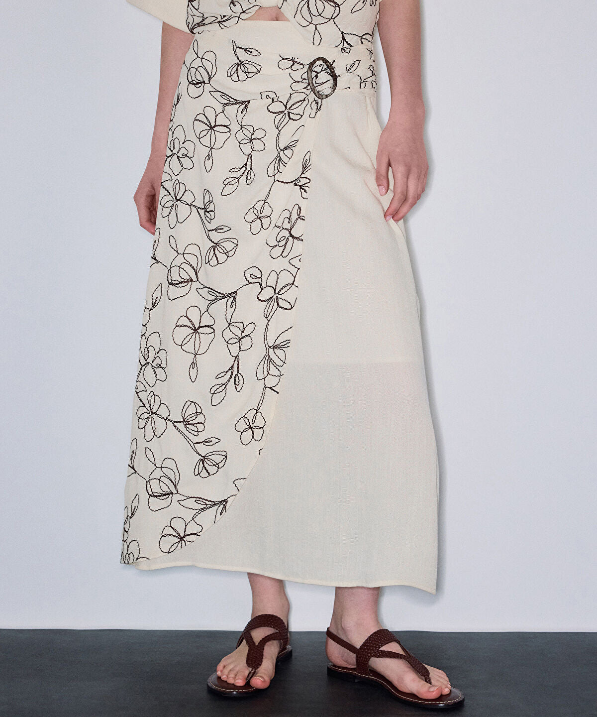 Zoomed SKIRT
