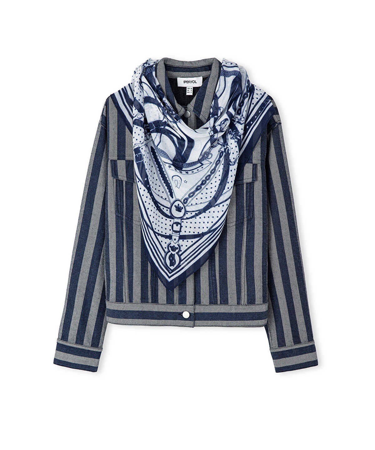 Striped Denim Jacket