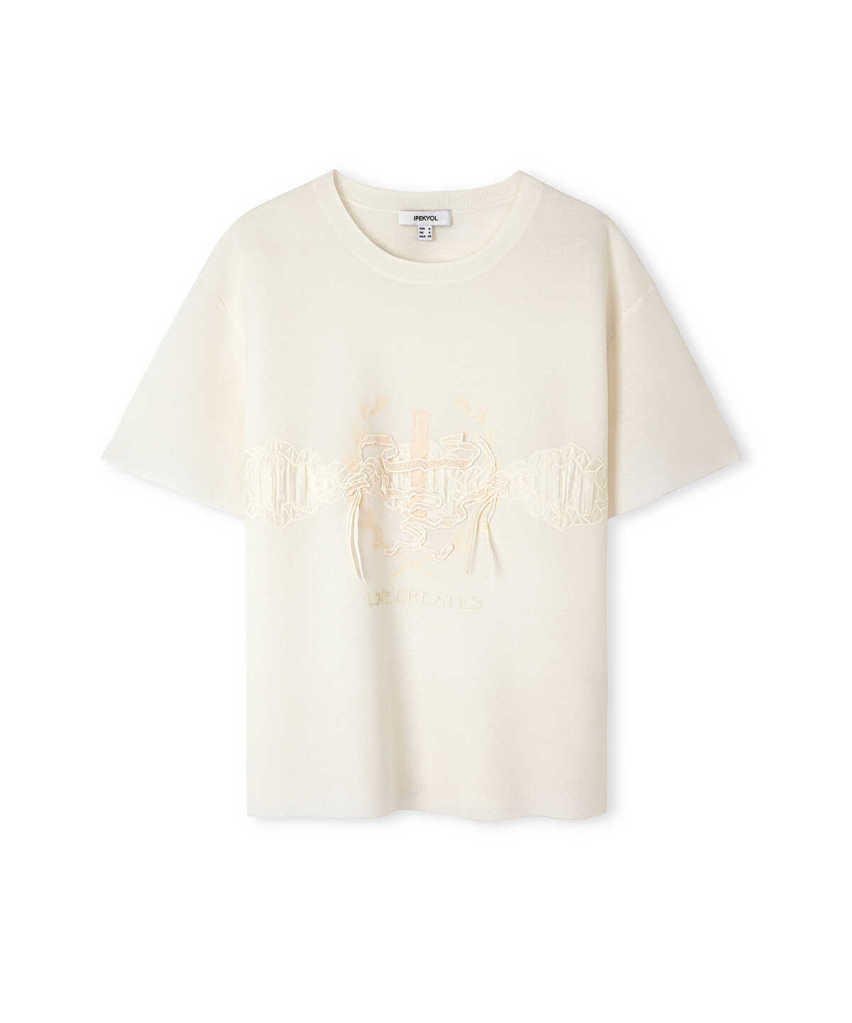 Zoomed Embroidered Knit Top with Applique