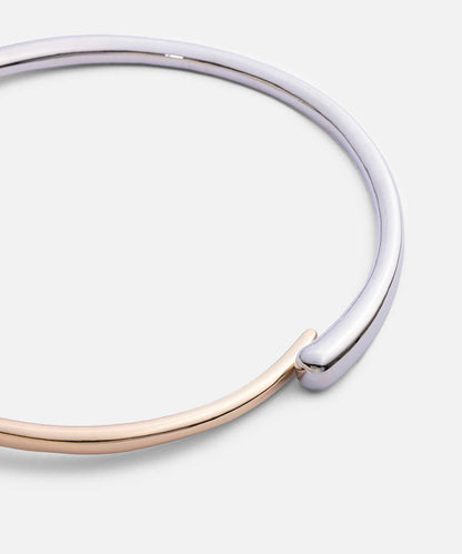 Two-Tone Rigid Necklace