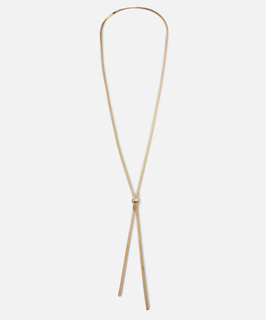 Long Chain Necklace