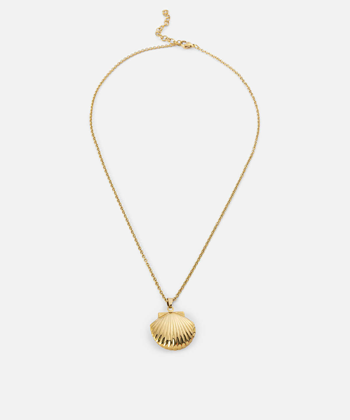 Zoomed Stainless Steel Seashell Necklace