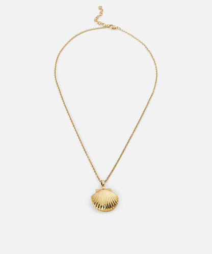 Stainless Steel Seashell Necklace