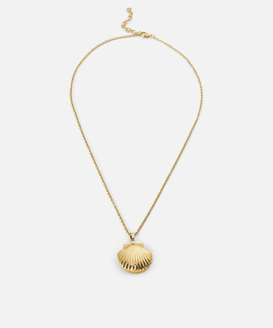 Stainless Steel Seashell Necklace