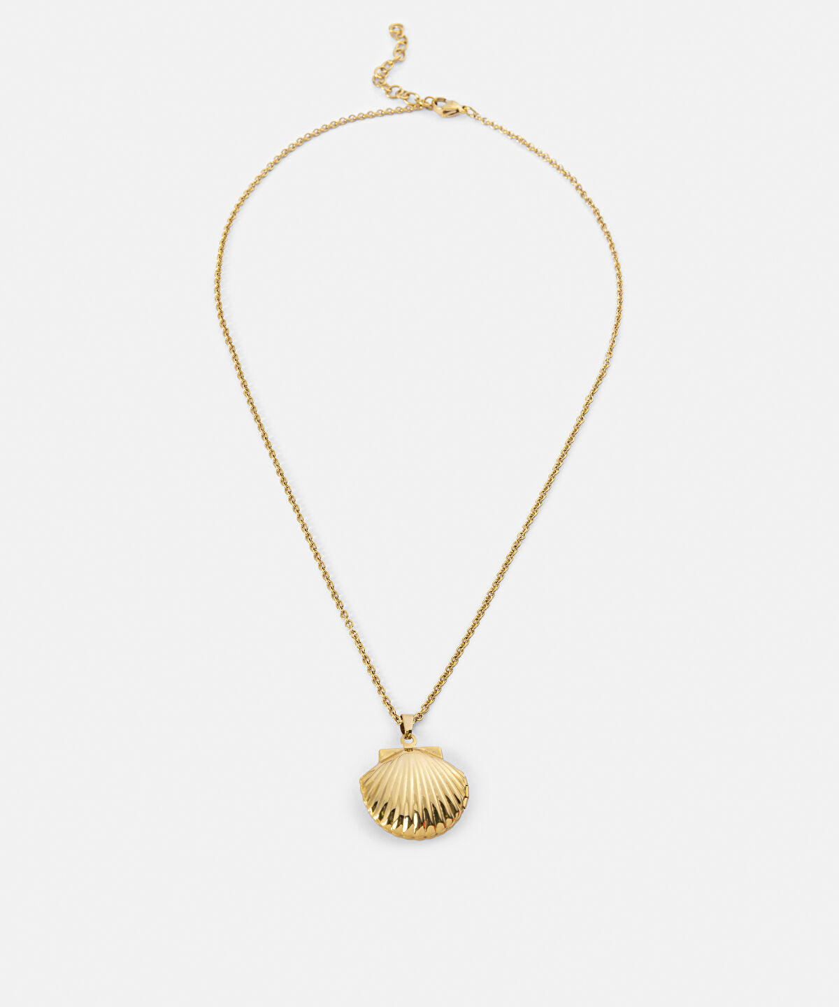 Zoomed Stainless Steel Seashell Necklace