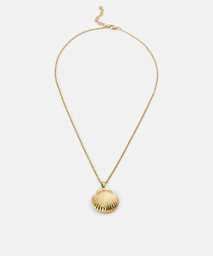 Stainless Steel Seashell Necklace
