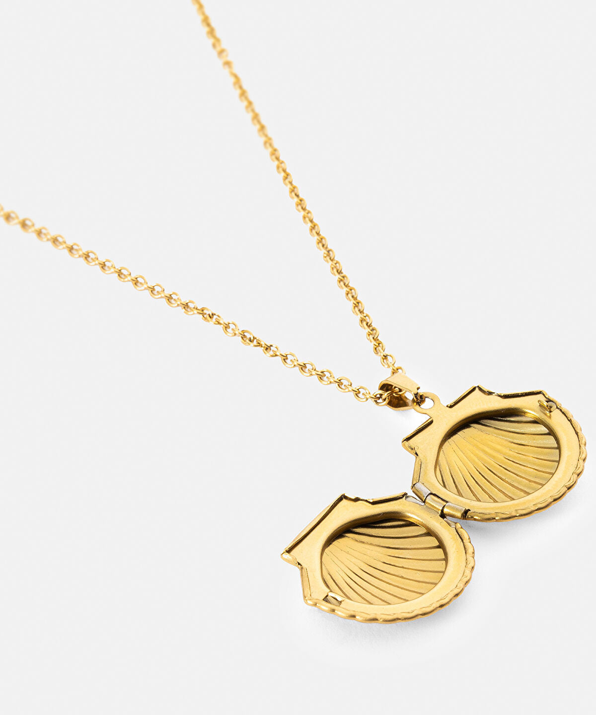 Zoomed Stainless Steel Seashell Necklace