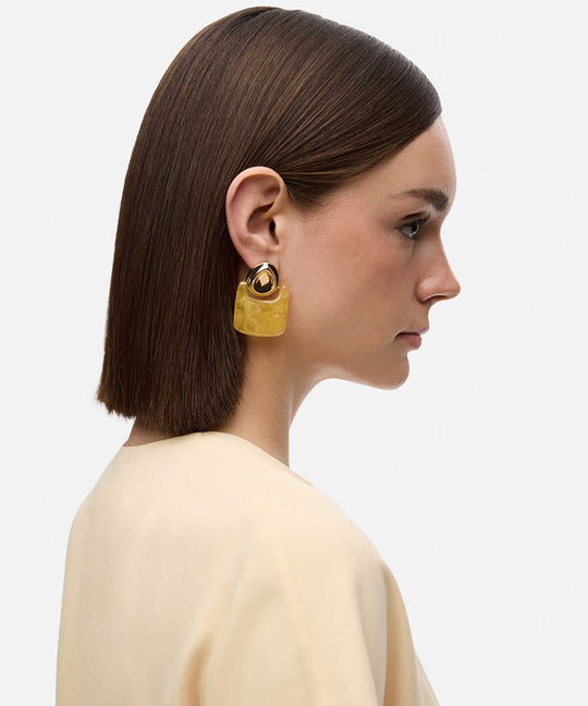 Combined Resin Earrings