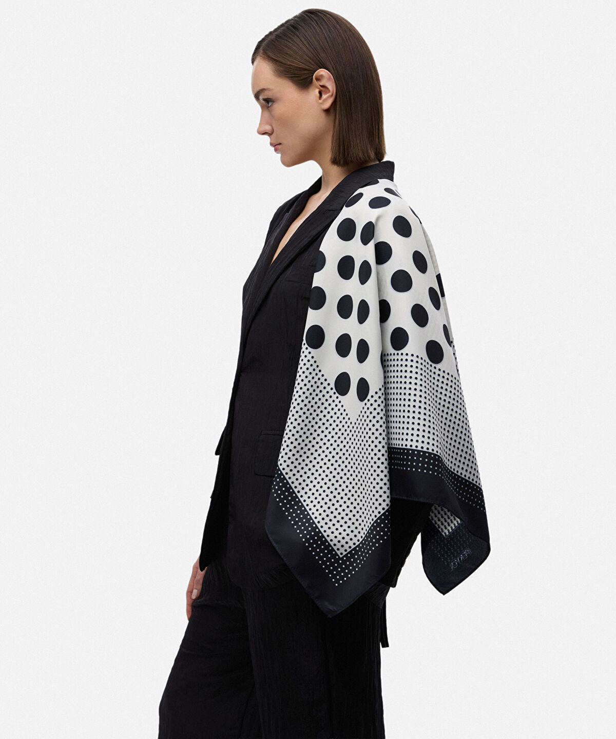 Zoomed Polka-Dot Scarf