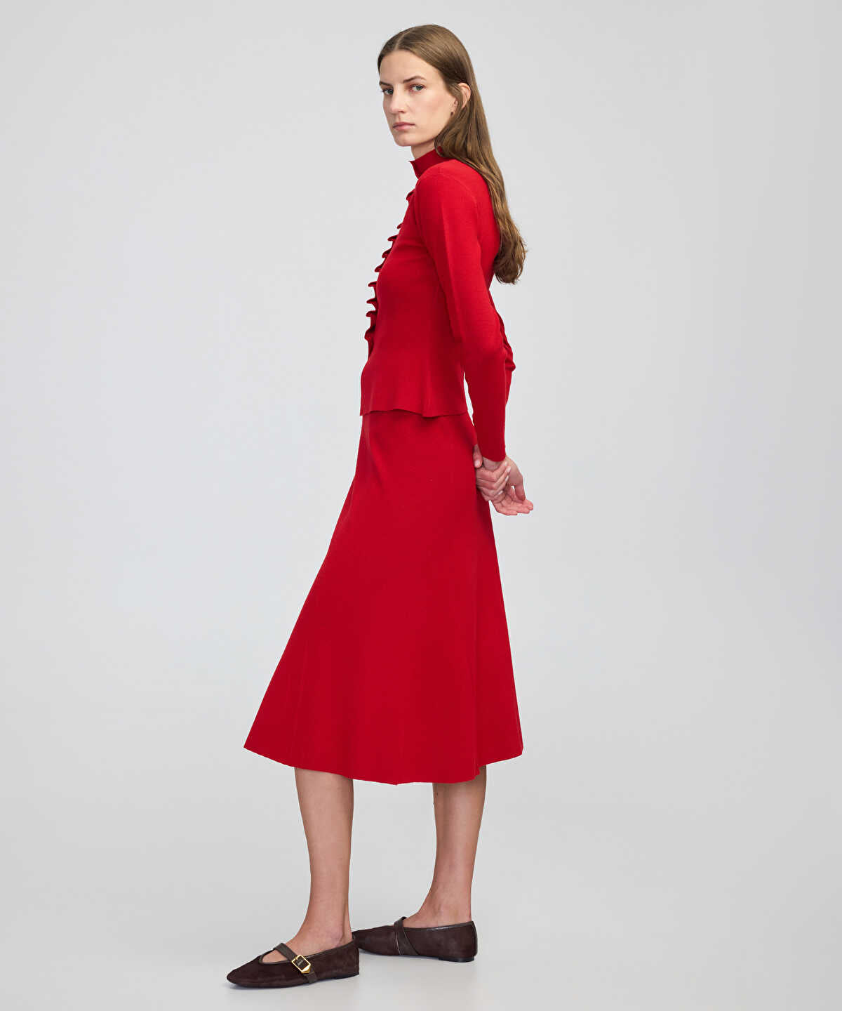 Zoomed SKIRT