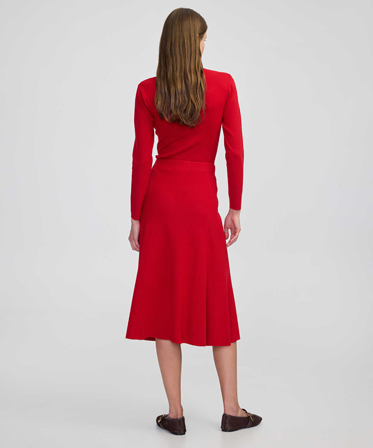 Zoomed SKIRT
