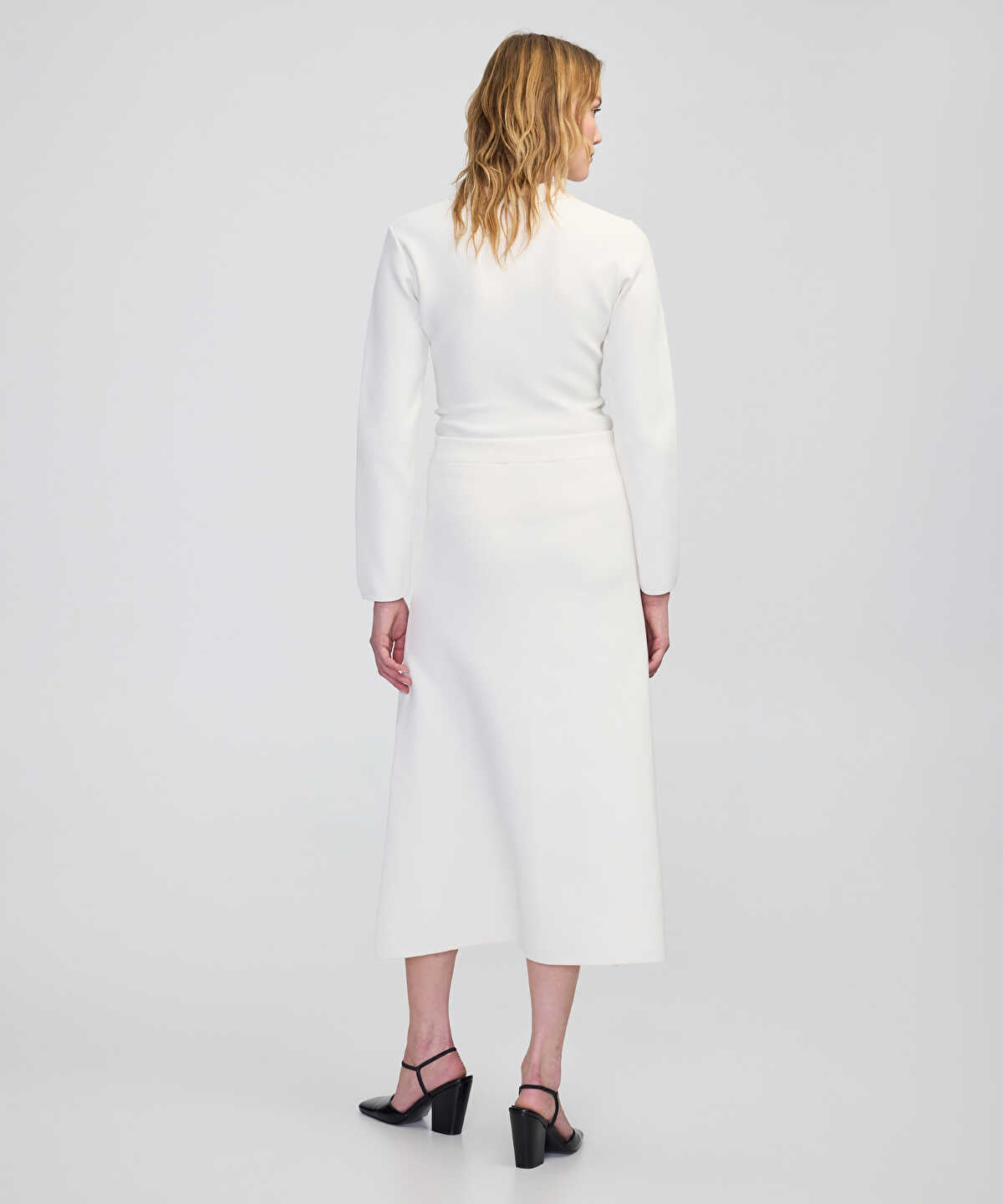 Zoomed SKIRT