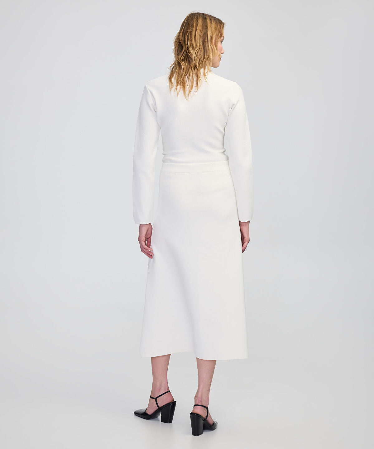 Zoomed SKIRT