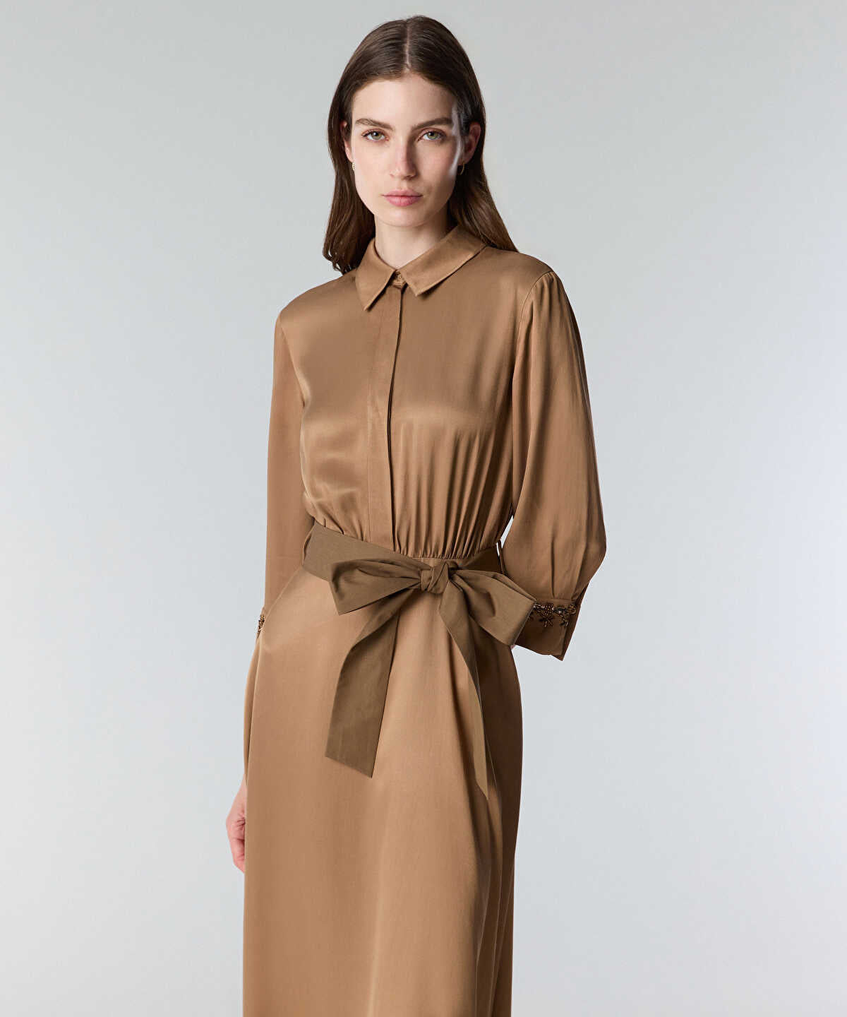 Zoomed Embellished Dress