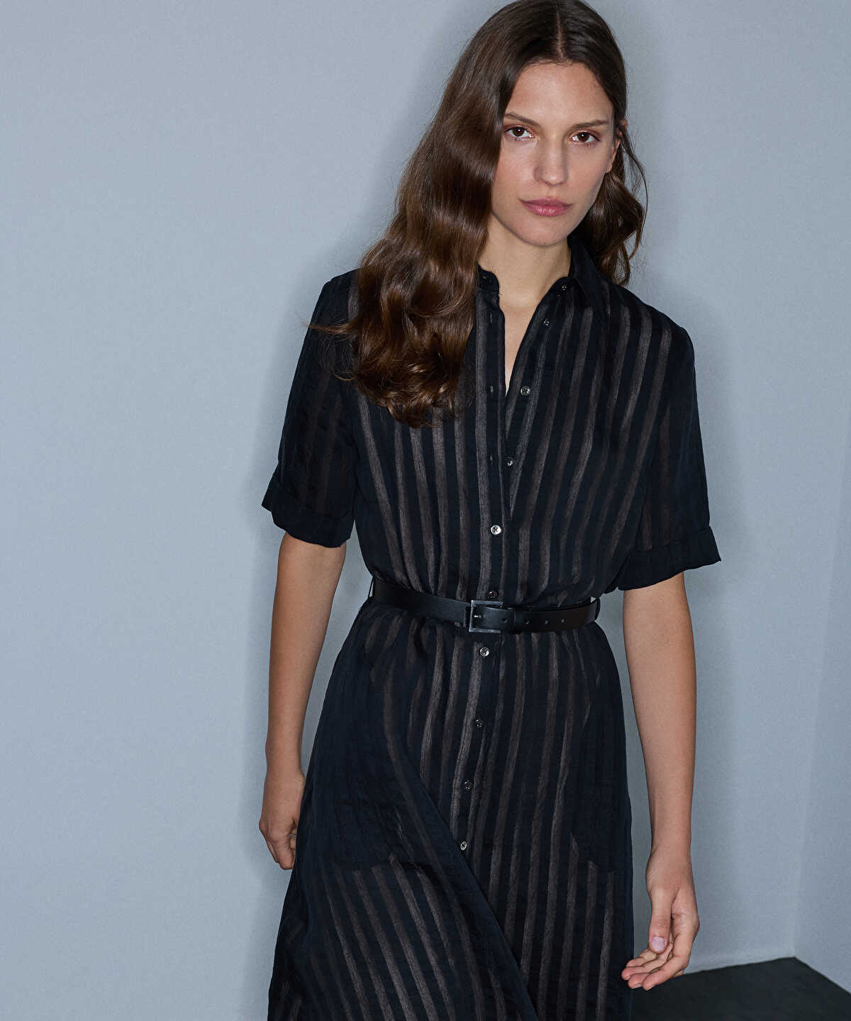 Zoomed Sheer-Stripe Belted Dress
